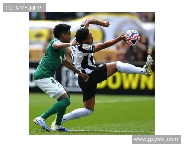 博塔弗戈与桑托斯激战正酣比分悬念不断精彩瞬间回顾